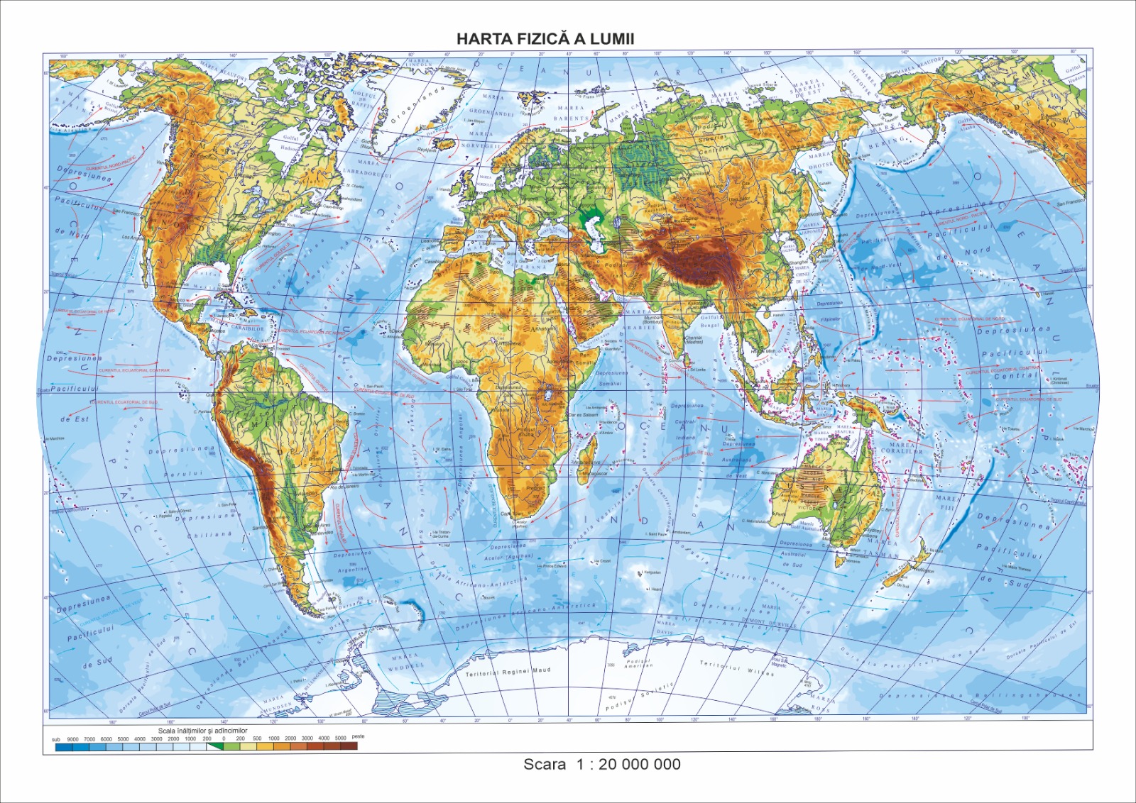 World map – AMEGA coverage areas